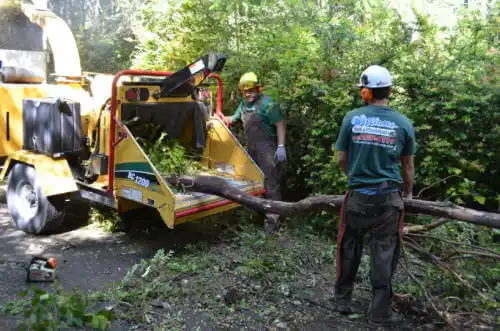 tree services Bull Valley